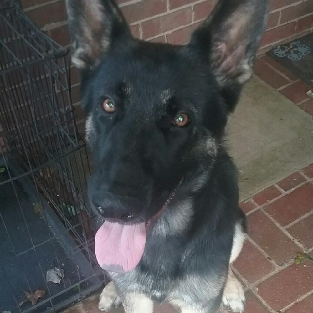 Meet your Posher, Lori